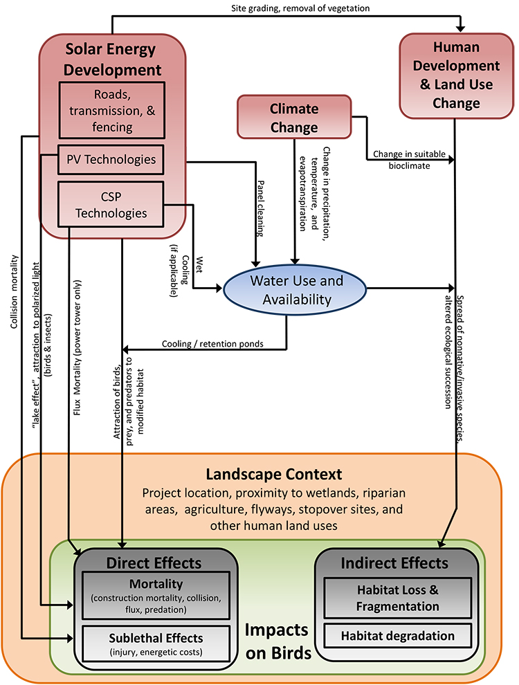 conceptual model