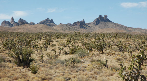 Castle Peaks