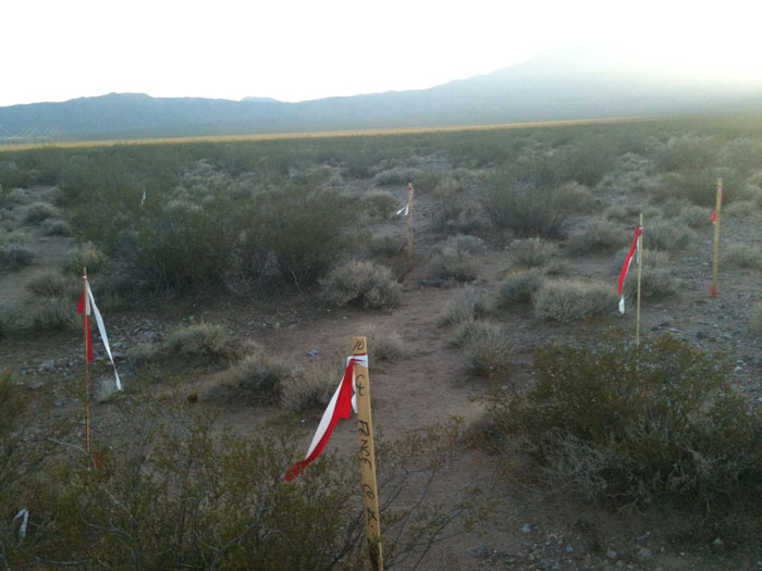 http://www.basinandrangewatch.org/images/Ivanpah-stakes-CLA.jpg