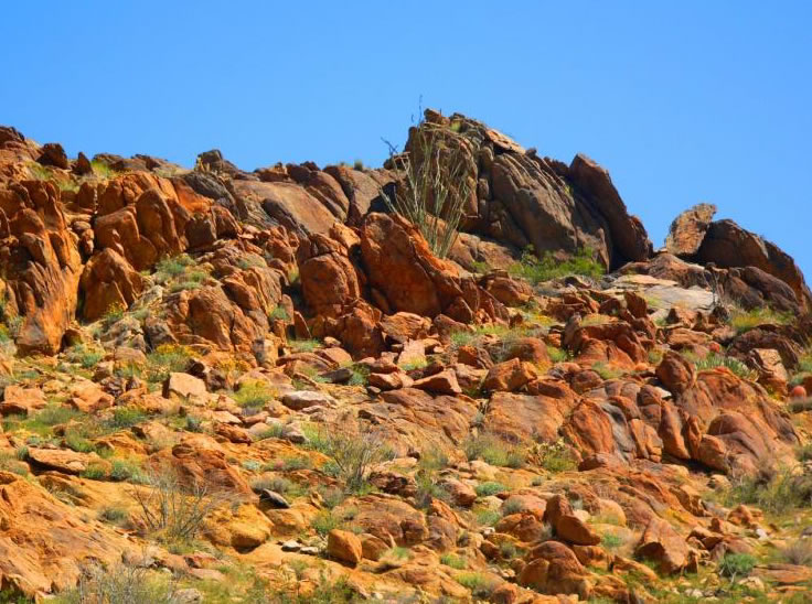 Anza-Borrego